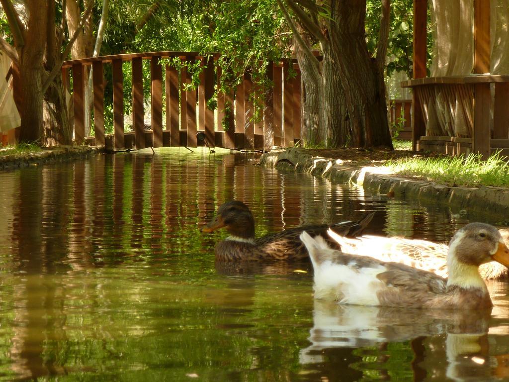 Olympos Mitos Hotell Exteriör bild