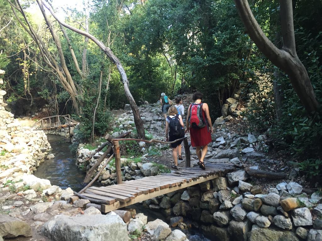 Olympos Mitos Hotell Exteriör bild